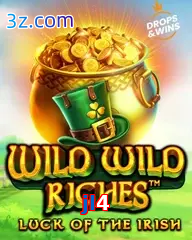 jl4 slot wild wild riches